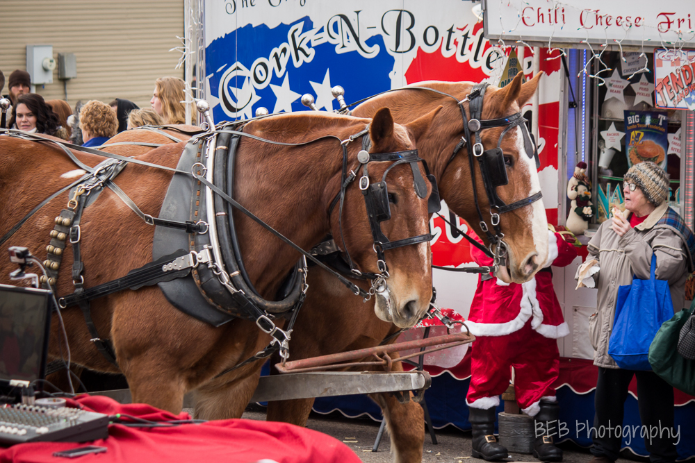 Christmas Parade Springboro Festivals